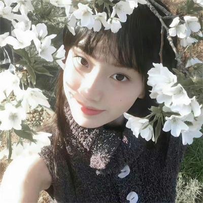 东京七姐妹：我们化作青空剧照